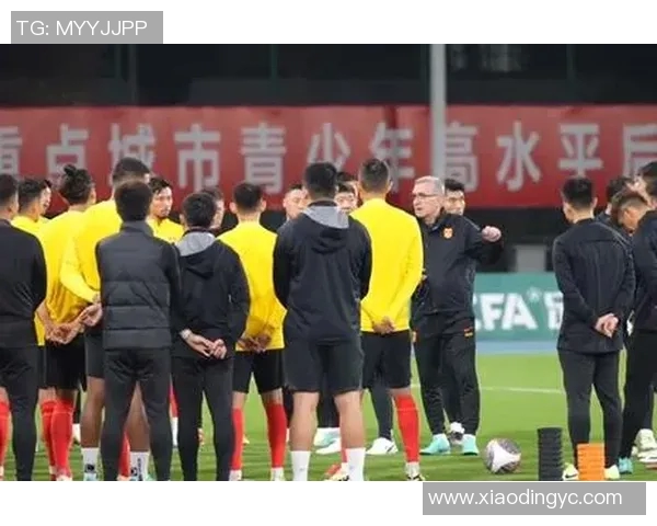 数据揭秘：本赛季世界杯球队表现波动大 揭示强弱变化背后的深层原因